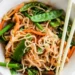 3 Fantastic Vegan Shirataki Noodles Recipes That Can Be Your Healthy Menu